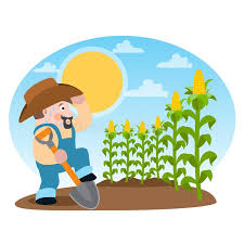 farmer grows
